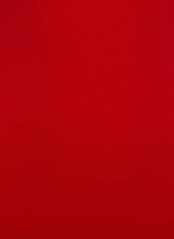 Scarlet Sienna Bandeau -Cheap Gossavia Store 06UKsEftZfAo3FgbdAPhM5C 4 15574.1707828379