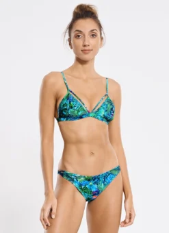 Borneo Ariana Triangle