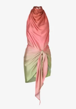 PROVIDENCIA MINI DRESS DRAGON FRUIT 18 PROVIDENCIA MINI DRESS DRAGON FRUIT -Cheap Gossavia Store ARsN EAbi0MmBK7790TTp7 hU 69726.1708859633