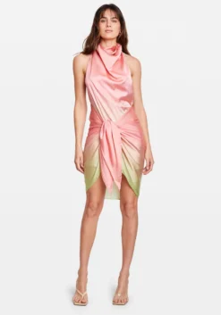 PROVIDENCIA MINI DRESS DRAGON FRUIT 15 PROVIDENCIA MINI DRESS DRAGON FRUIT -Cheap Gossavia Store tH4 58ifiA0i hVNPnl4olk k 23035.1708859631